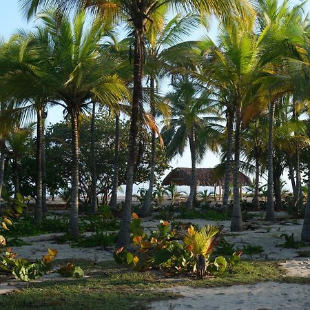 Hotel Playa Bonita Tayrona 伯里塔卡 外观 照片