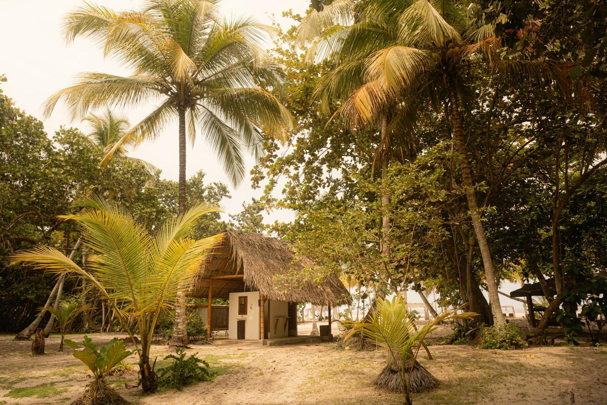 Hotel Playa Bonita Tayrona 伯里塔卡 外观 照片