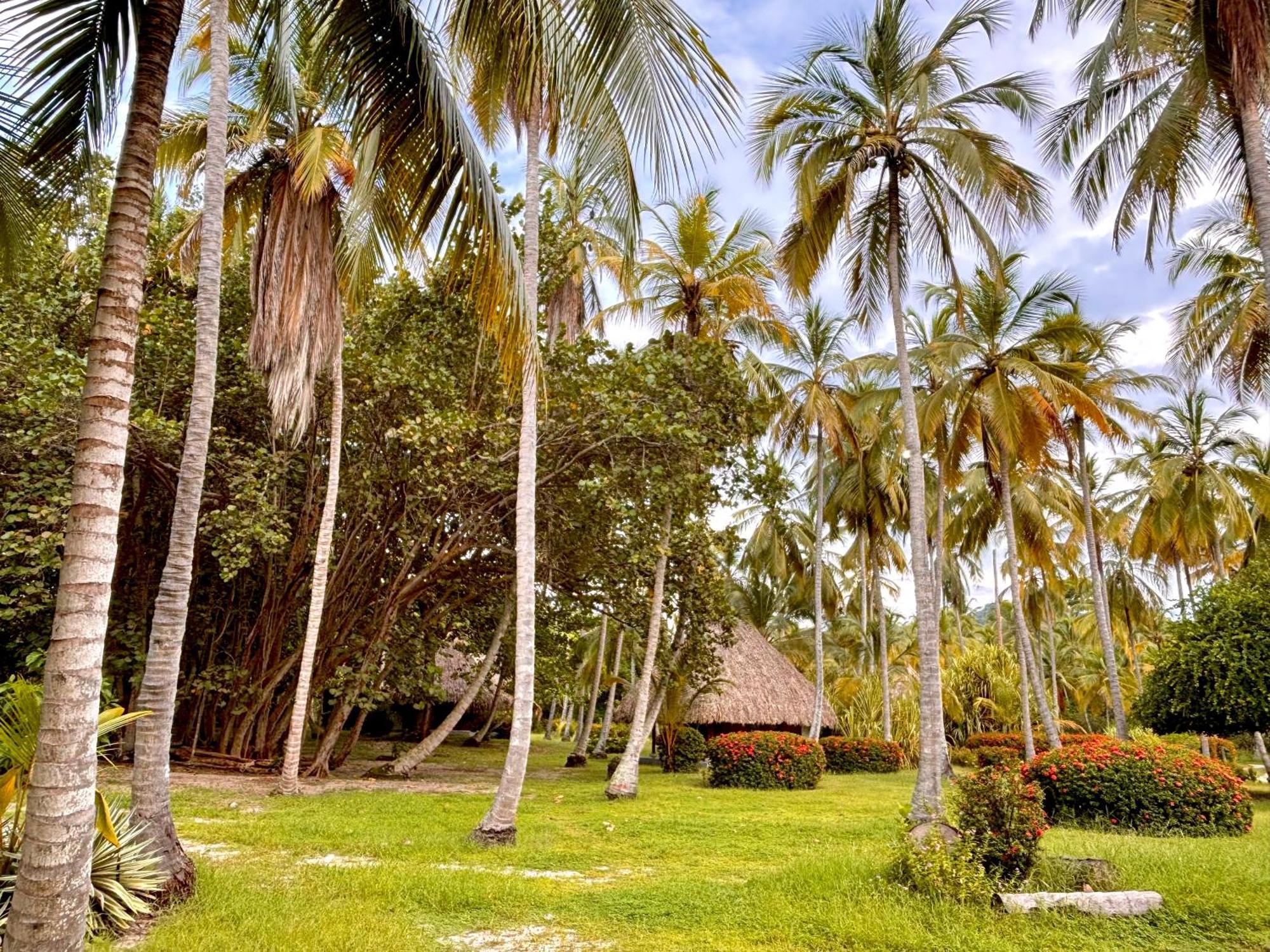Hotel Playa Bonita Tayrona 伯里塔卡 外观 照片