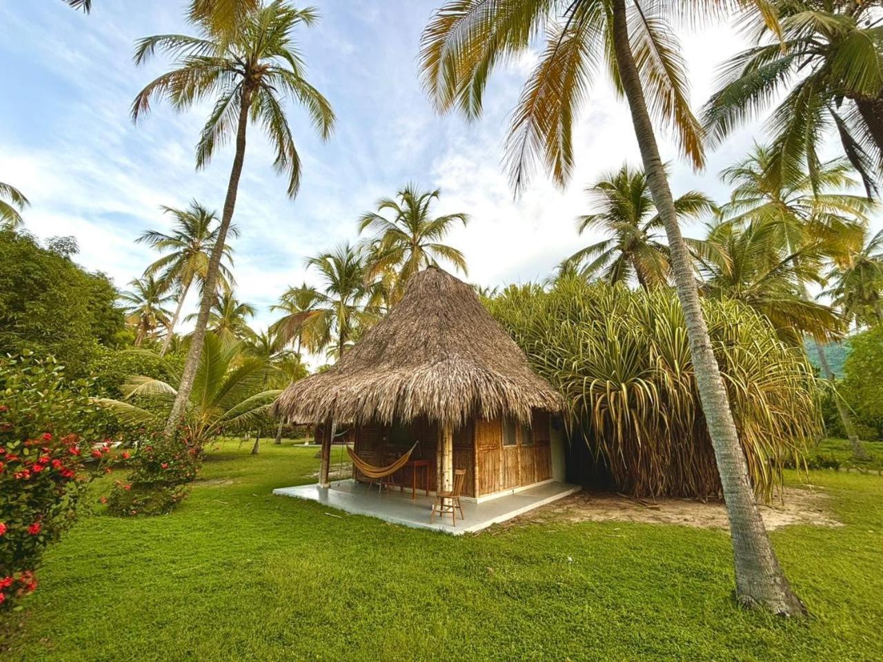 Hotel Playa Bonita Tayrona 伯里塔卡 外观 照片