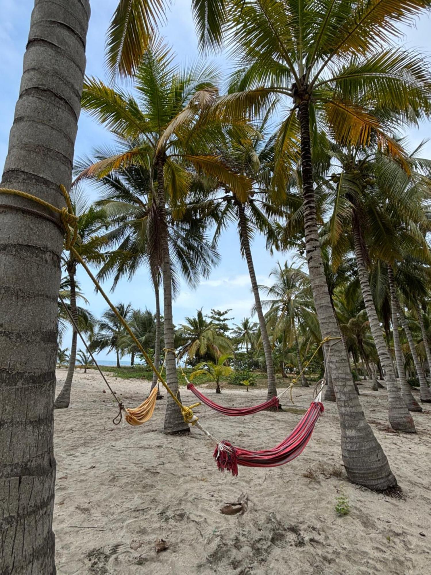 Hotel Playa Bonita Tayrona 伯里塔卡 外观 照片