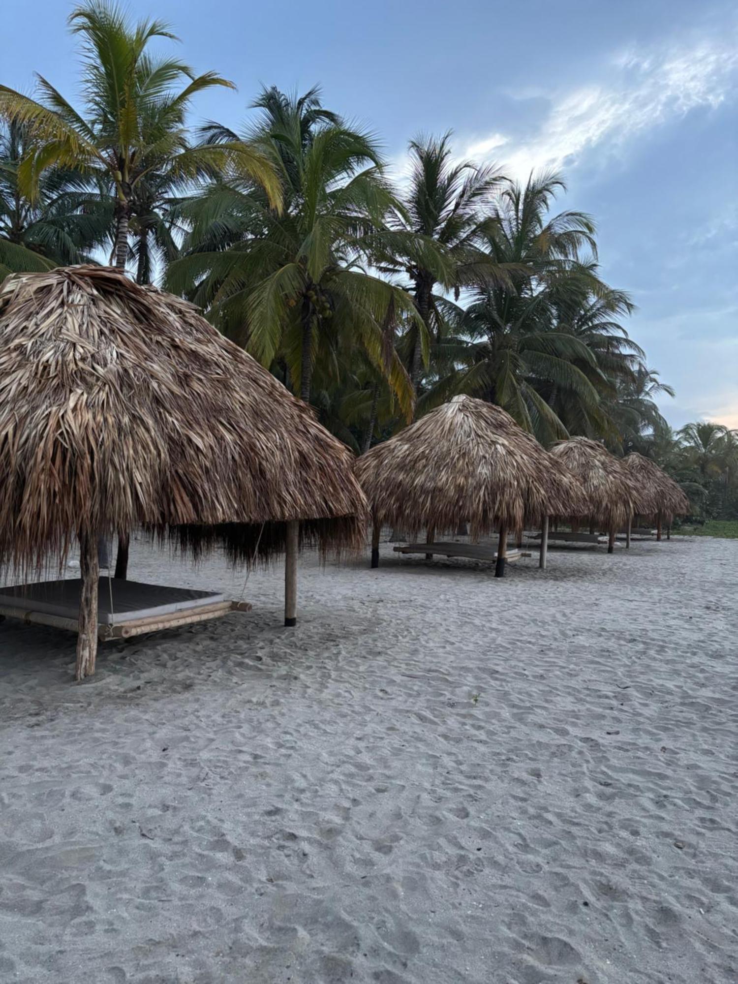 Hotel Playa Bonita Tayrona 伯里塔卡 外观 照片