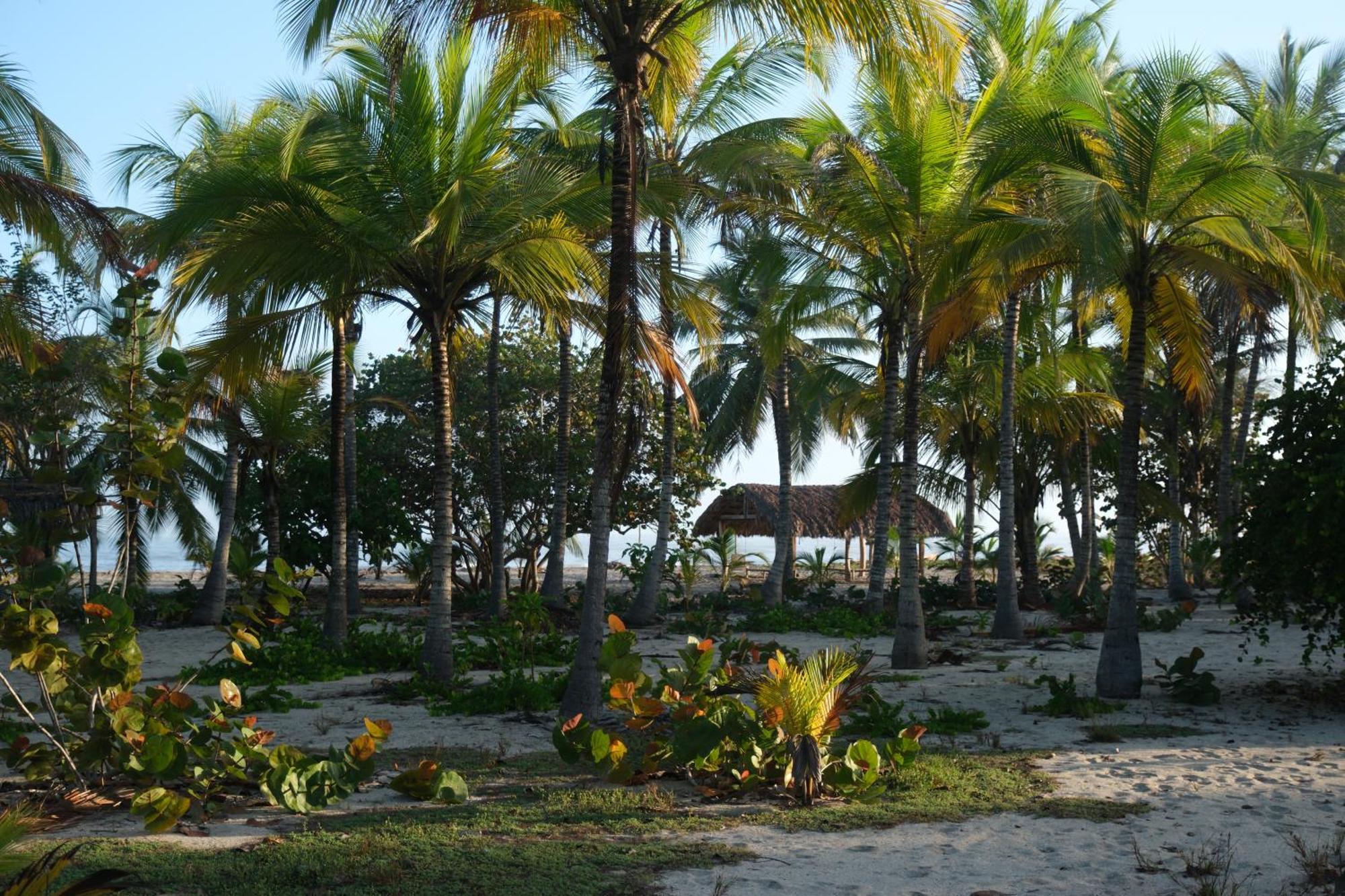 Hotel Playa Bonita Tayrona 伯里塔卡 外观 照片