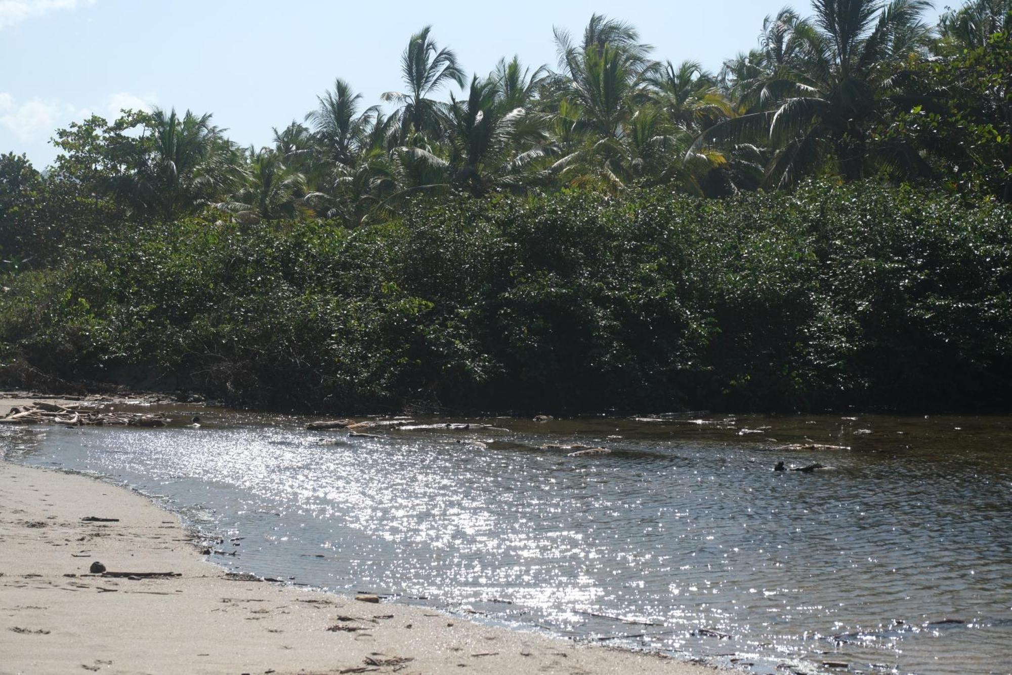 Hotel Playa Bonita Tayrona 伯里塔卡 外观 照片