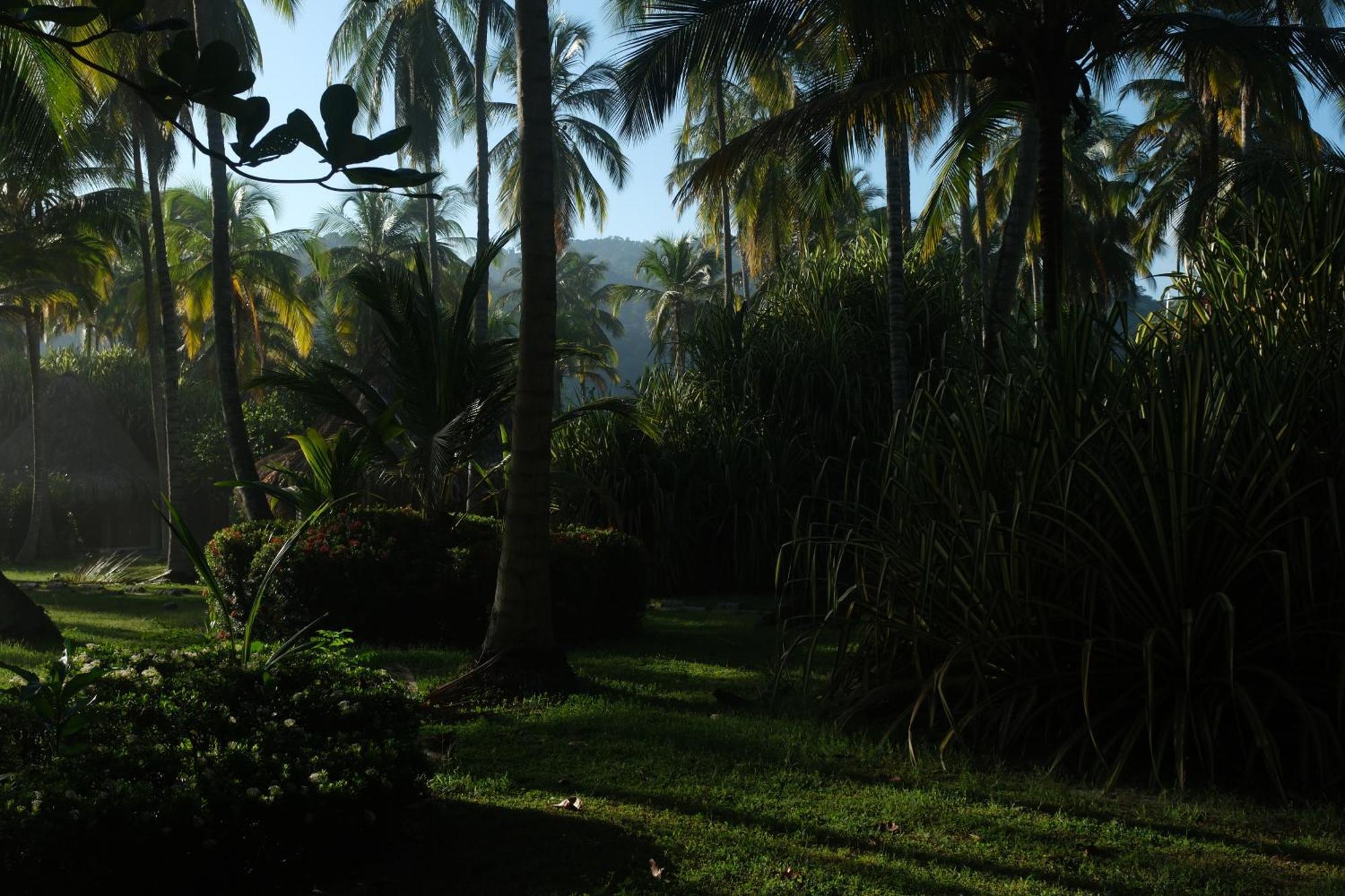 Hotel Playa Bonita Tayrona 伯里塔卡 外观 照片